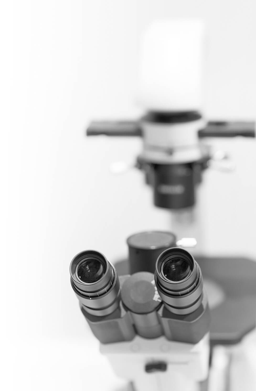 Microscope - Regenerative Medicine